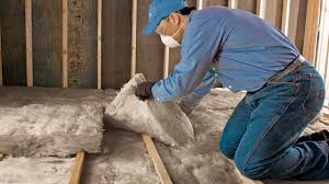 Best Wall Insulation Installation  in Palmetto, FL